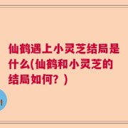 仙鹤遇上小灵芝结局是什么(仙鹤和小灵芝的结局如何？)