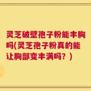 灵芝破壁孢子粉能丰胸吗(灵芝孢子粉真的能让胸部变丰满吗？)