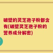 破壁的灵芝孢子粉都含有(破壁灵芝孢子粉的营养成分解密)