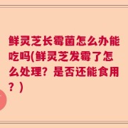 鲜灵芝长霉菌怎么办能吃吗(鲜灵芝发霉了怎么处理？是否还能食用？)