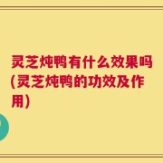 灵芝炖鸭有什么效果吗(灵芝炖鸭的功效及作用)