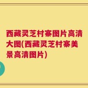 西藏灵芝村寨图片高清大图(西藏灵芝村寨美景高清图片)