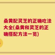 桑黄配灵芝的正确吃法大全(桑黄和灵芝的正确搭配方法一览)