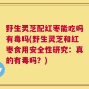 野生灵芝配红枣能吃吗有毒吗(野生灵芝和红枣食用安全性研究：真的有毒吗？)
