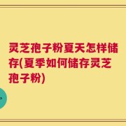 灵芝孢子粉夏天怎样储存(夏季如何储存灵芝孢子粉)