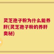 灵芝孢子粉为什么能养肝(灵芝孢子粉的养肝奥秘)