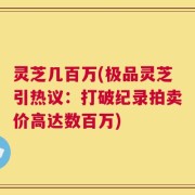 灵芝几百万(极品灵芝引热议：打破纪录拍卖价高达数百万)