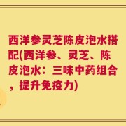 西洋参灵芝陈皮泡水搭配(西洋参、灵芝、陈皮泡水：三味中药组合，提升免疫力)