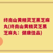 终南山黄精灵芝黑芝麻丸(终南山黄精灵芝黑芝麻丸：健康佳品)