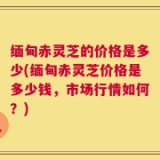 缅甸赤灵芝的价格是多少(缅甸赤灵芝价格是多少钱，市场行情如何？)