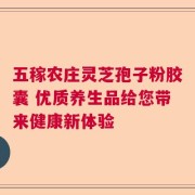 五稼农庄灵芝孢子粉胶囊 优质养生品给您带来健康新体验