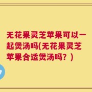 无花果灵芝苹果可以一起煲汤吗(无花果灵芝苹果合适煲汤吗？)