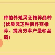 种植养殖灵芝推荐品种(优质灵芝种植养殖推荐，提高效率产量和品质)