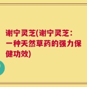 谢宁灵芝(谢宁灵芝：一种天然草药的强力保健功效)