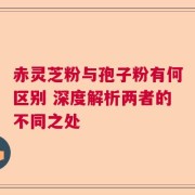 赤灵芝粉与孢子粉有何区别 深度解析两者的不同之处