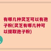 有哪几种灵芝可以有孢子粉(灵芝有哪几种可以提取孢子粉)
