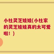 小杜灵芝娃娃(小杜家的灵芝娃娃真的太可爱啦！)