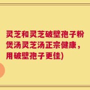 灵芝和灵芝破壁孢子粉煲汤灵芝汤正宗健康，用破壁孢子更佳)