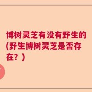 博树灵芝有没有野生的(野生博树灵芝是否存在？)