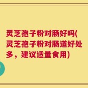 灵芝孢子粉对肠好吗(灵芝孢子粉对肠道好处多，建议适量食用)