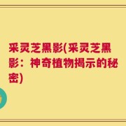 采灵芝黑影(采灵芝黑影：神奇植物揭示的秘密)