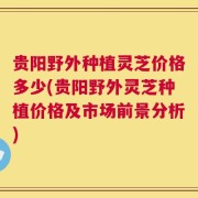 贵阳野外种植灵芝价格多少(贵阳野外灵芝种植价格及市场前景分析)