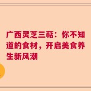 广西灵芝三萜：你不知道的食材，开启美食养生新风潮