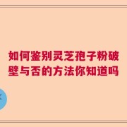 如何鉴别灵芝孢子粉破壁与否的方法你知道吗