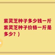 紫灵芝种子多少钱一斤紫灵芝种子价格一斤是多少？)