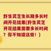 野生灵芝生长期多长时间开花结果(野生灵芝开花结果需要多长时间？你不知道这些！)