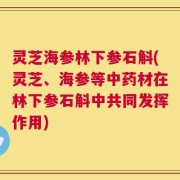 灵芝海参林下参石斛(灵芝、海参等中药材在林下参石斛中共同发挥作用)