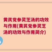 黄芪党参灵芝汤的功效与作用(黄芪党参灵芝汤的功效与作用简介)