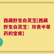 西藏野生白灵芝(西藏野生白灵芝：珍贵中草药的宝库)