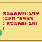 灵芝反面长得什么样子(灵芝的“丑陋面容”：其实会长成什么样？)