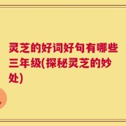 灵芝的好词好句有哪些三年级(探秘灵芝的妙处)