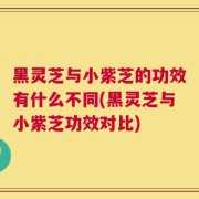 黑灵芝与小紫芝的功效有什么不同(黑灵芝与小紫芝功效对比)