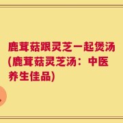 鹿茸菇跟灵芝一起煲汤(鹿茸菇灵芝汤：中医养生佳品)