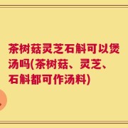 茶树菇灵芝石斛可以煲汤吗(茶树菇、灵芝、石斛都可作汤料)