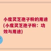 小度灵芝孢子粉的用途(小度灵芝孢子粉：功效与用途)
