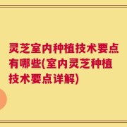 灵芝室内种植技术要点有哪些(室内灵芝种植技术要点详解)