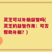 灵芝可以补脑益智吗(灵芝的益智作用：可否帮助补脑？)