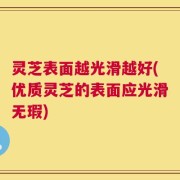 灵芝表面越光滑越好(优质灵芝的表面应光滑无瑕)