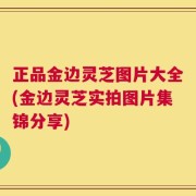 正品金边灵芝图片大全(金边灵芝实拍图片集锦分享)