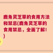 鹿角灵芝草的食用方法和禁忌(鹿角灵芝草的食用禁忌，全面了解！)