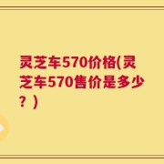 灵芝车570价格(灵芝车570售价是多少？)