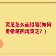 灵芝怎么画铅笔(如何用铅笔画出灵芝？)