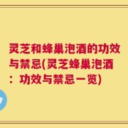 灵芝和蜂巢泡酒的功效与禁忌(灵芝蜂巢泡酒：功效与禁忌一览)