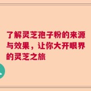 了解灵芝孢子粉的来源与效果，让你大开眼界的灵芝之旅