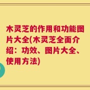 木灵芝的作用和功能图片大全(木灵芝全面介绍：功效、图片大全、使用方法)