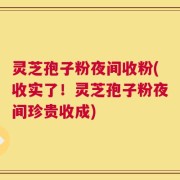 灵芝孢子粉夜间收粉(收实了！灵芝孢子粉夜间珍贵收成)